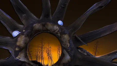 'Un Sol De Medianoche', De Juan Jes&uacute;s Gonz&aacute;lez Ahumada