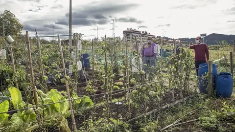 Nota Ma&ntilde;ana Finaliza Plazo Solicitud Huerto Urbano Torrelavega