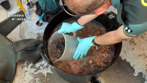 Nota De Prensa Investigado An&eacute;monas