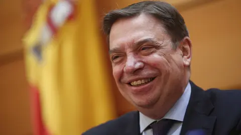 El ministro de Agricultura, Pesca y Alimentaci&oacute;n, Luis Planas comparece ante la comisi&oacute;n del ramo en el Senado 