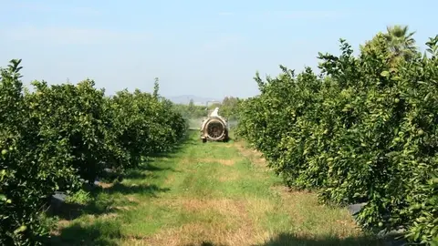 Agricultor en un campo