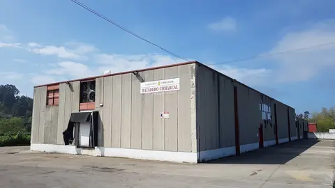 El Matadero Municipal de Torrelavega reabre hoy la l&iacute;nea de porcino