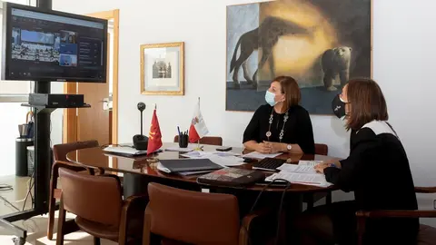 La consejera de Presidencia, Interior, Justicia y Acci&oacute;n Exterior, Paula Fern&aacute;ndez, interviene en el pleno del Comit&eacute; de las Regiones de Europa