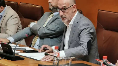 El portavoz de Cs en el Parlamento de Cantabria, F&eacute;lix &Aacute;lvarez