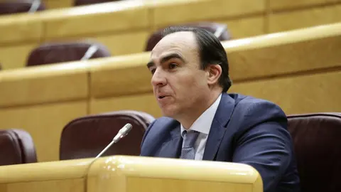 El senador del PP por Cantabria Javier Puente