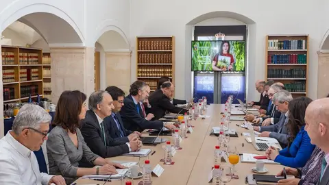 reuni&oacute;n red crusoe marzo 2019