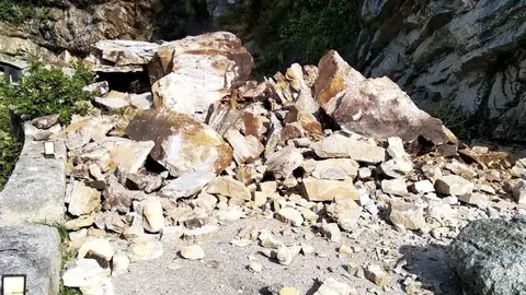 WhatsApp Image 2020-10-17 at 13.04.13