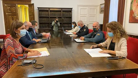 Constituci&oacute;n CECOR