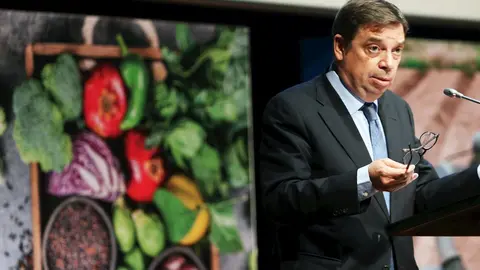 El ministro de Agricultura, Pesca y Alimentaci&oacute;n de Espa&ntilde;a, Luis Planas