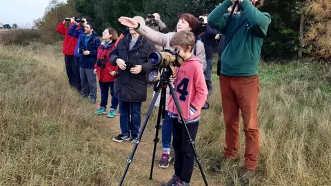 Observaci&oacute;n de aves en Noja