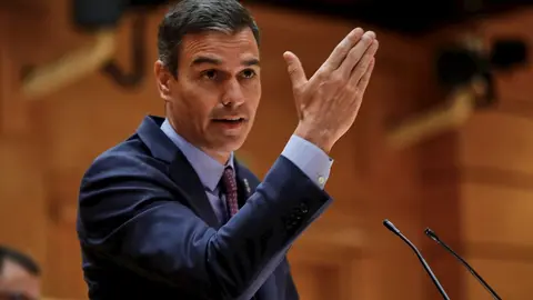 El presidente del Gobierno, Pedro S&aacute;nchez, comparece ante el Pleno del Senado.
