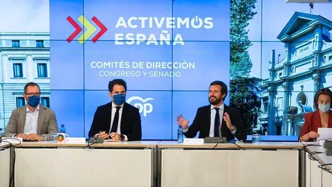 El presidente del PP, Pablo Casado, preside la reuni&oacute;n con los comit&eacute;s de direcci&oacute;n del Grupo Popular. Asisten tambi&eacute;n Teodoro Garc&iacute;a Egea, Cuca Gamarra y Javier Maroto. En Madrid, a 14 de septiembre de 2020.