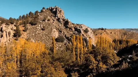 El Gobierno aprueba la Estrategia Nacional de Infraestructura Verde.