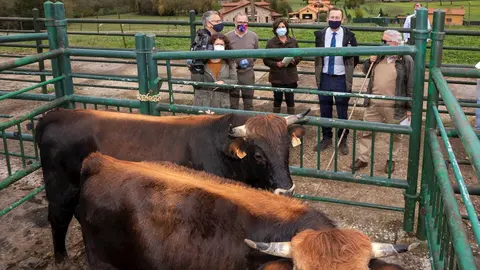 El consejero de Ganader&iacute;a, Guillermo Blanco, en la finca La Torquilla