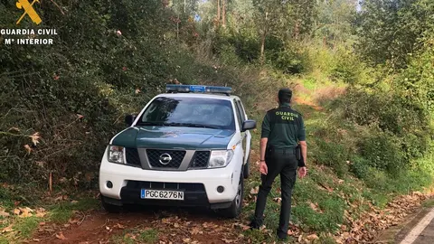 Nota De Prensa Delito De Hurto