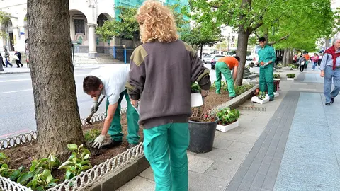 Plataci&oacute;n Flores