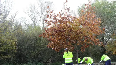 Trabajos en el r&iacute;o H&iacute;jar