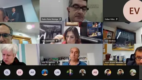 Pleno telem&aacute;tico de Torrelavega