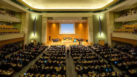 Asamblea Mundial de la Salud 