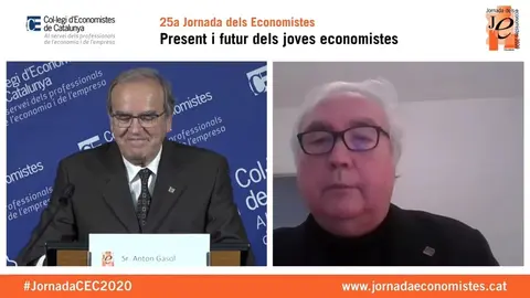 El ministro de Universidades, Manuel Castells, en su intervenci&oacute;n en la jornada telem&aacute;tica 'La jornada de los economistas'