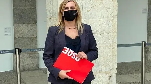 La secretaria de Organizaci&oacute;n del PSOE de Cantabria y portavoz del grupo parlamentario socialista, Noelia Cobo