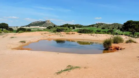 [Comunicacionumu] Un Estudio De La Umu Afirma Que El 50% De La Biodiversidad Acu&aacute;tica Se Ver&iacute;a Comprometida Con La Desaparici&oacute;n De Las Charcas Naturales