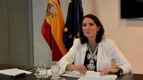 Reyes Maroto en el pleno de Conestur.