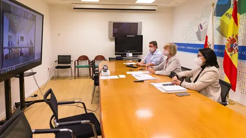 Marina Lomb&oacute; en la reuni&oacute;n telem&aacute;tica del Consejo Espa&ntilde;ol de Turismo