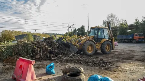 &Aacute;rboles Y Basura Retirados Del Saja Besaya