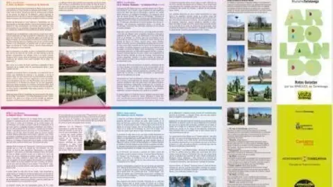 124977580_4888932697785256_9197247278924066079_n