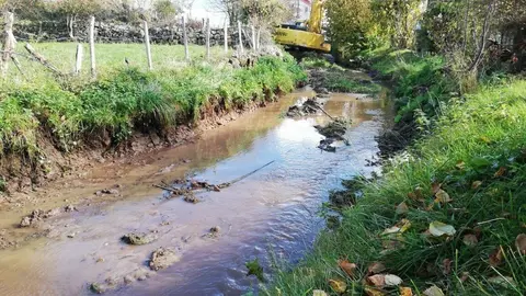 Limpieza de cauces en Campoo de Yuso