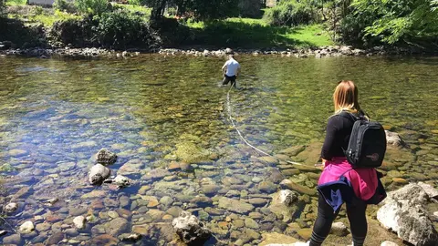 Proyecto r&iacute;o Red Cambera