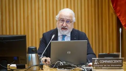 El presidente de la Confederaci&oacute;n Espa&ntilde;ola de Comercio (CEC), Pedro Campo