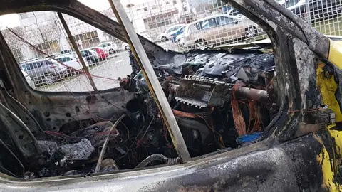 WhatsApp Image 2020-11-23 at 10.22.26