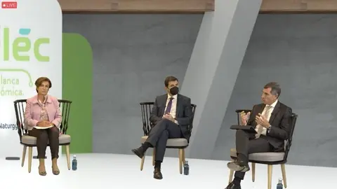 II Congreso de Aelec