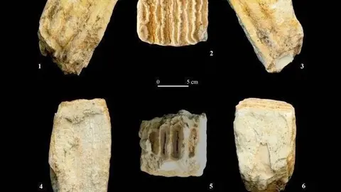 Registros f&oacute;siles