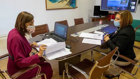 La consejera de Acci&oacute;n Exterior, Paula Fern&aacute;ndez (izda), en la videoconferencia sobre el Plan Atl&aacute;ntico