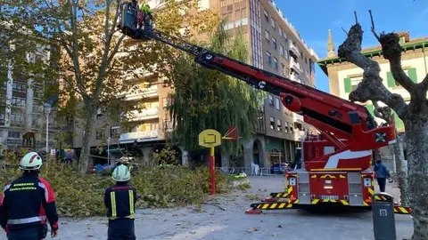 Poda en altura de &aacute;rboles