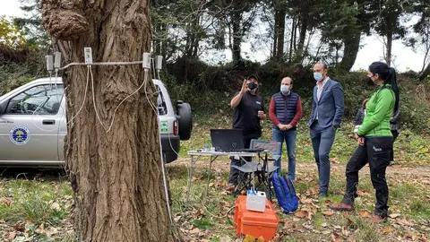 El alcalde y el concejal de Medio Ambiente de Torrelavega comprueban los trabajos en el arbolado de 'El Patatal'