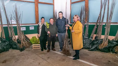 Reparto de &aacute;rboles