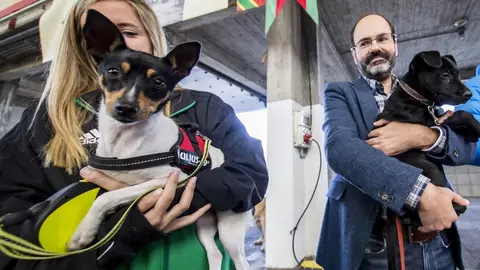 Jos&eacute; Luis Urraca en la feria de adopci&oacute;n