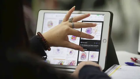 Alumna de un colegio. Archivo