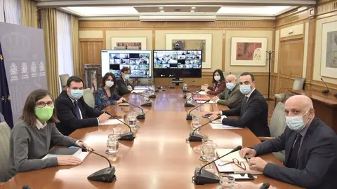 Reuni&oacute;n del Consejo Interterritorial del Sistema Nacional de Salud (CISNS), en Madrid (Espa&ntilde;a)