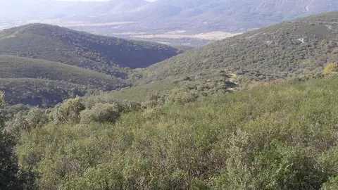 Paisaje del Parque Nacional de Caba&ntilde;eros