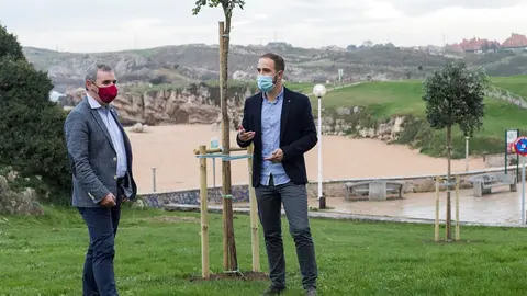 Bezana reforesta algunos espacios