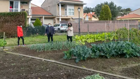 Huertos urbanos de Polanco