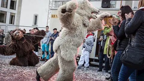 Mascaradas de invierno. La Vijanera