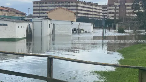 WhatsApp Image 2020-12-09 at 13.43.54