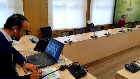 Pleno extraordinario telem&aacute;tico