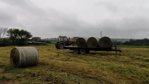 Trabajos en el campo, rural, agricultur, PAC, tractor.